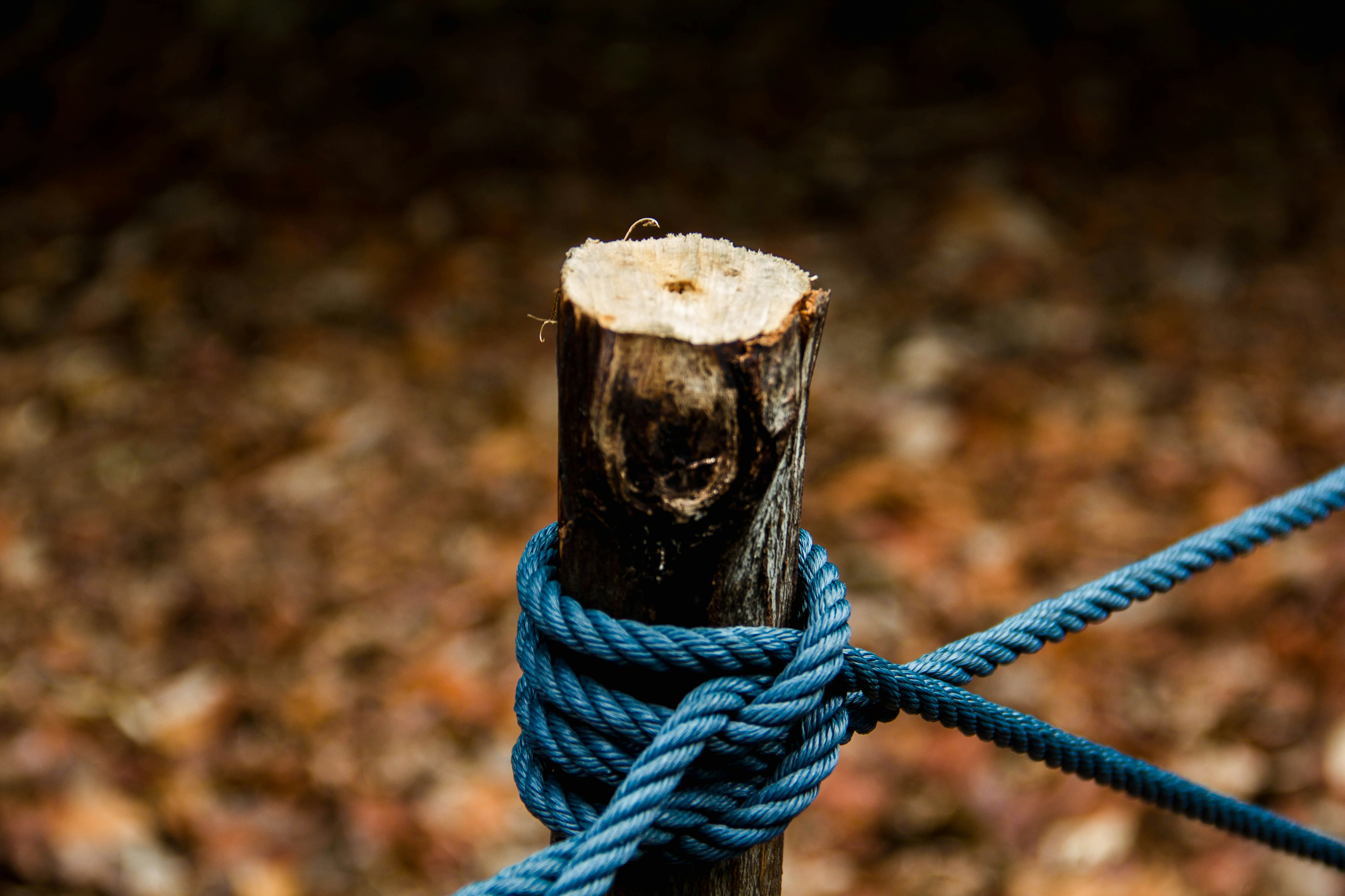 brown rope tie on wood log